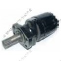 hydraulic motor
