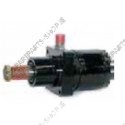 hydraulic motor
