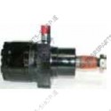 hydraulic motor
