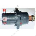 hydraulic motor