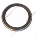 oil seal