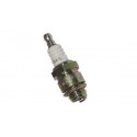 spark plugs NGK