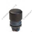 black push button switch