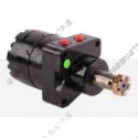 Drive motor, hydraulic