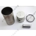 sleeve assy. (piston, rings, sleeve)