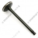 intake valve