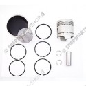 sleeve assy. (piston, rings, sleeve) (5x ring)