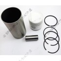 sleeve assy. (piston, rings, sleeve)