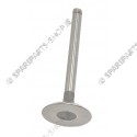 intake valve
