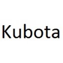 Kubota combustion engines