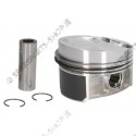 piston + ring set