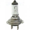 halogen lamps